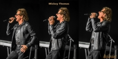 Mickey Thomas | Headshot Portfolio | Orange-County-Headshots | Business Headshots