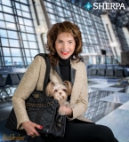 Headshot Portfolio | Orange-County-Headshots | Business Headshots