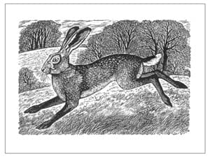 The Unofficial Unabridged Unthology of Hare Puns