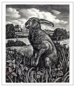 The Unofficial Unabridged Unthology of Hare Puns