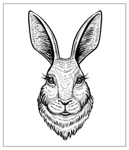 Hare Puns by Orange County Headshots